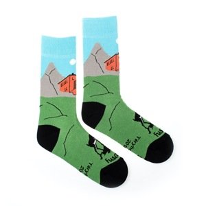 Ponožky Téryho chata s kamzíkom