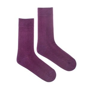 Ponožky Klasik baklažánový