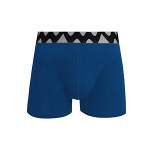 Bavlnené boxerky v modrej farbe Volis