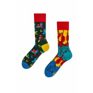 Viacfarebné vzorované ponožky Paradise Parrot